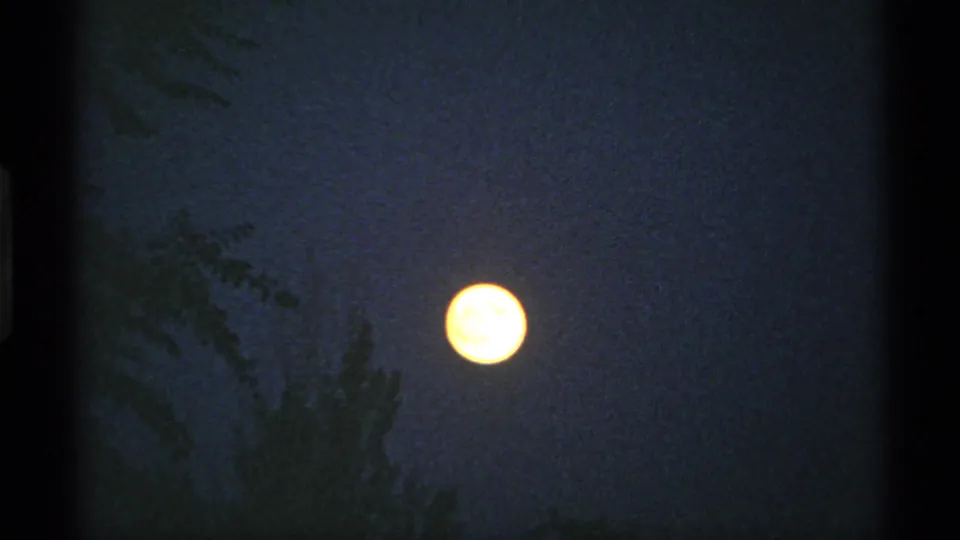 A full moon glows low in the blue-black Minnesota sky, with silhouetted trees and visible 8mm grain.