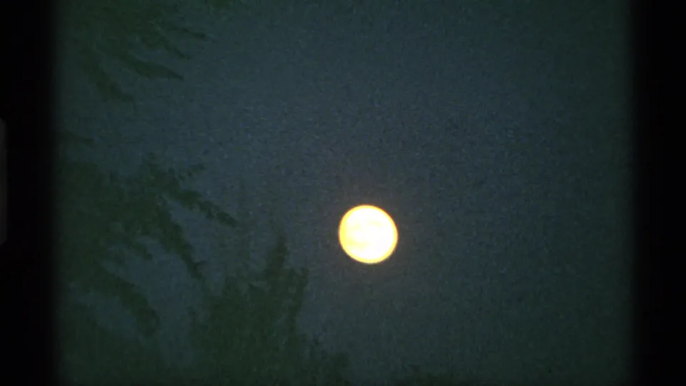 The moon glows over tree silhouettes in a green-blue Minnesota night sky, with the texture of scanned 8mm film.