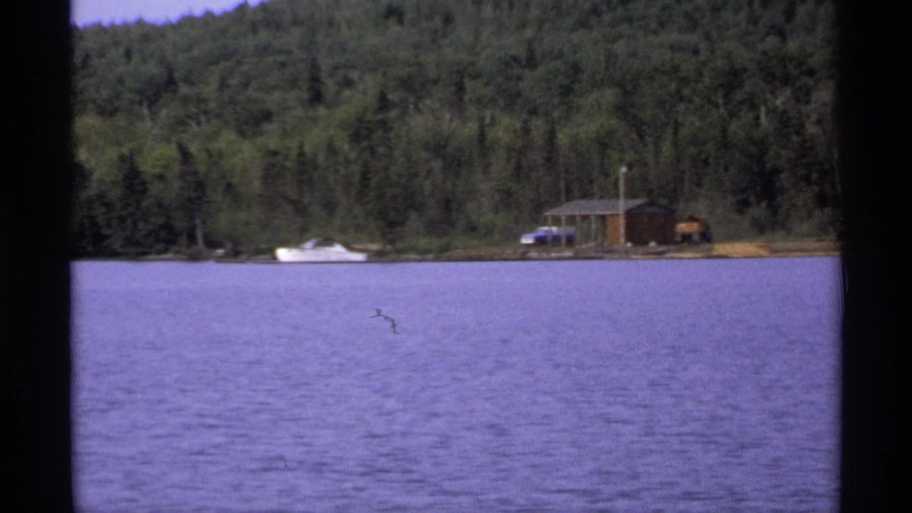 Forested lake shoreline with a small cabin, docked boat, and dark 8mm frame borders.