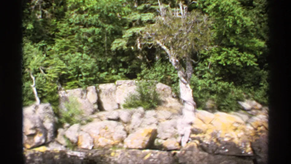 1971 Isle Royale shoreline detail with sunlit rocks, shrubs, and dense green trees near the water's edge.