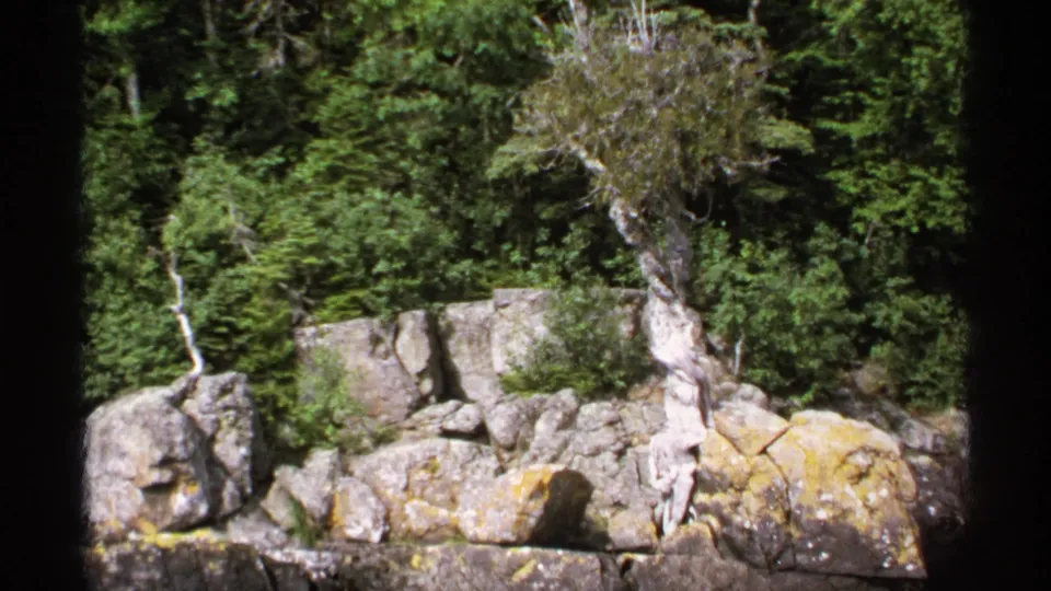 Isle Royale coast from a moving boat, with layered rocks, evergreen trees, lichen patches, and a pale tree near the shore.