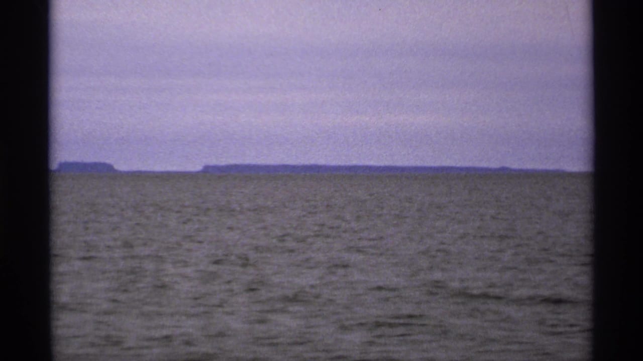 Rippling lake water below a muted sky with a low distant shoreline on the horizon.