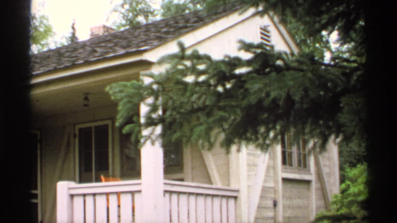 Light-colored house exterior partly obscured by evergreen branches.