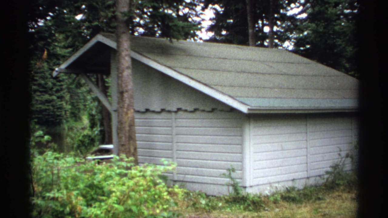 Pale wooden cabin or shed among evergreens with a sloped roof and brush in front.
