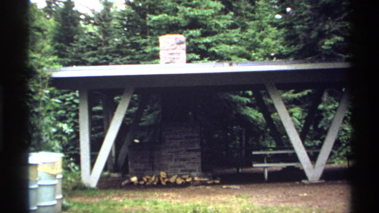 Picnic shelter with white V-shaped posts, stone fireplace, woodpile, and trees behind it.