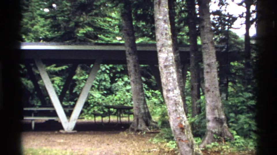 1971 Isle Royale home-movie frame with tree trunks in the foreground and the picnic shelter receding into dense green woods.