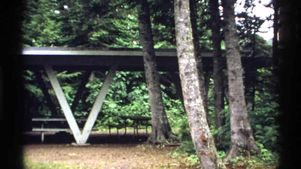 1971 Isle Royale frame showing the picnic shelter through foreground trees, with white posts, shaded tables, and dense surrounding forest.