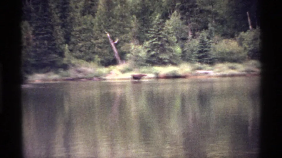 1971 Isle Royale 8mm frame with a distant moose near the shore, surrounded by trees and lake reflections.
