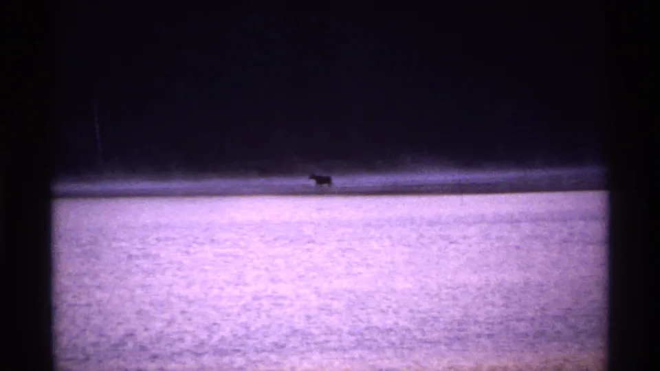 A distant animal is visible along the far shoreline in 1971 Isle Royale footage, with water filling the foreground.