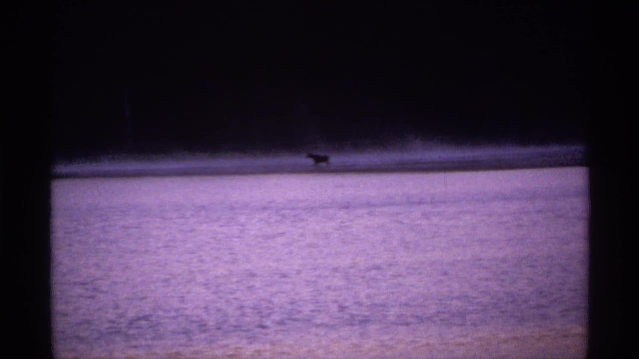 1971 Isle Royale 8mm frame showing a distant animal-like silhouette on a frozen lake under a dark treeline or sky band.