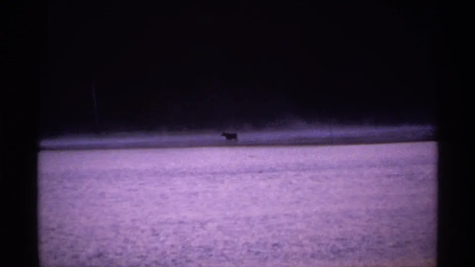 Distant wildlife silhouette on an icy Isle Royale lake, recorded in soft purple-toned 8mm home-movie footage.
