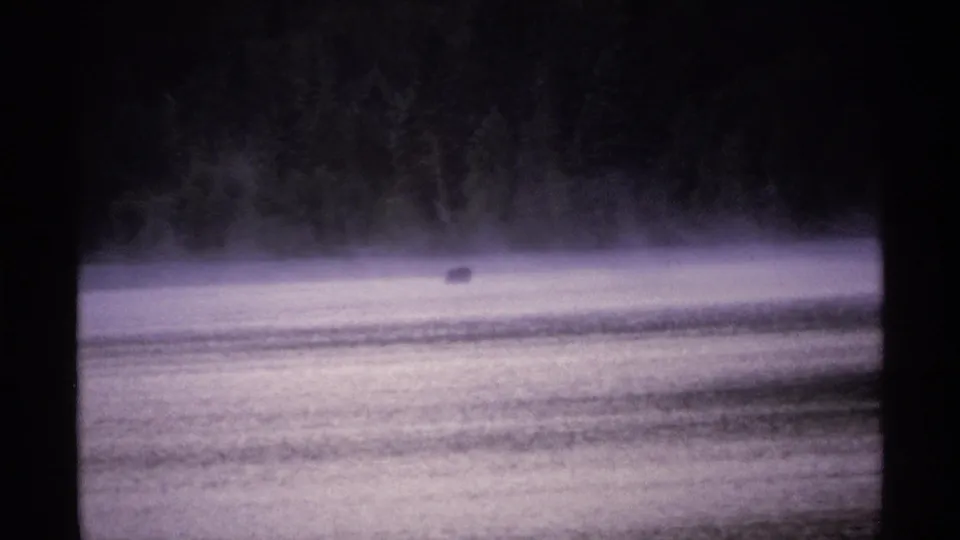 1971 Isle Royale 8mm frame of a small dark object on pale misty lake water, with trees and black gate borders visible.
