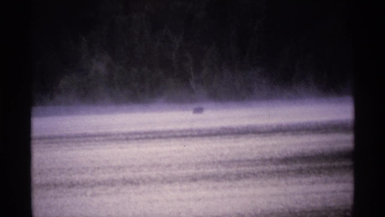 Misty water with a small dark animal-like shape near a distant forested shore.