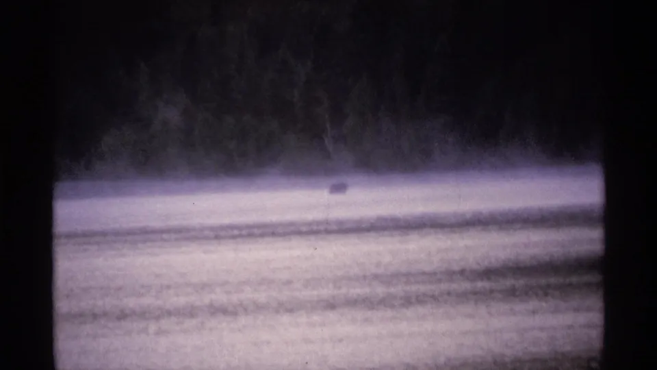 1971 Isle Royale 8mm frame showing fog over water and a distant dark animal-like shape before a wooded shoreline.