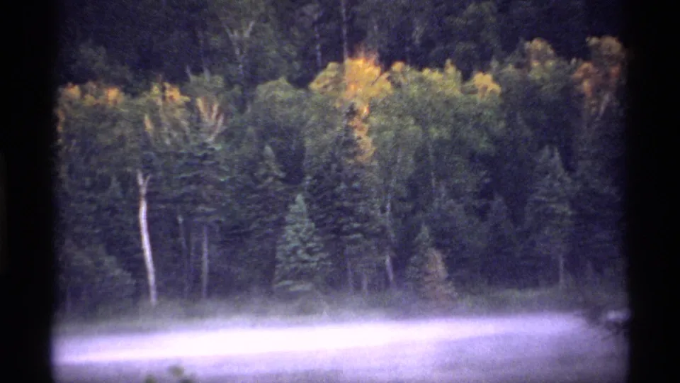 1971 Isle Royale 8mm frame of misty water below dense evergreen and deciduous forest with early autumn color.