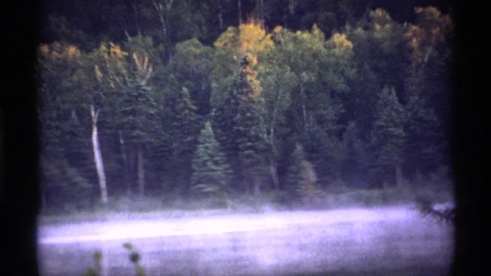 1971 Isle Royale 8mm frame of fog-brightened water and dense forest, with no clear animal visible.