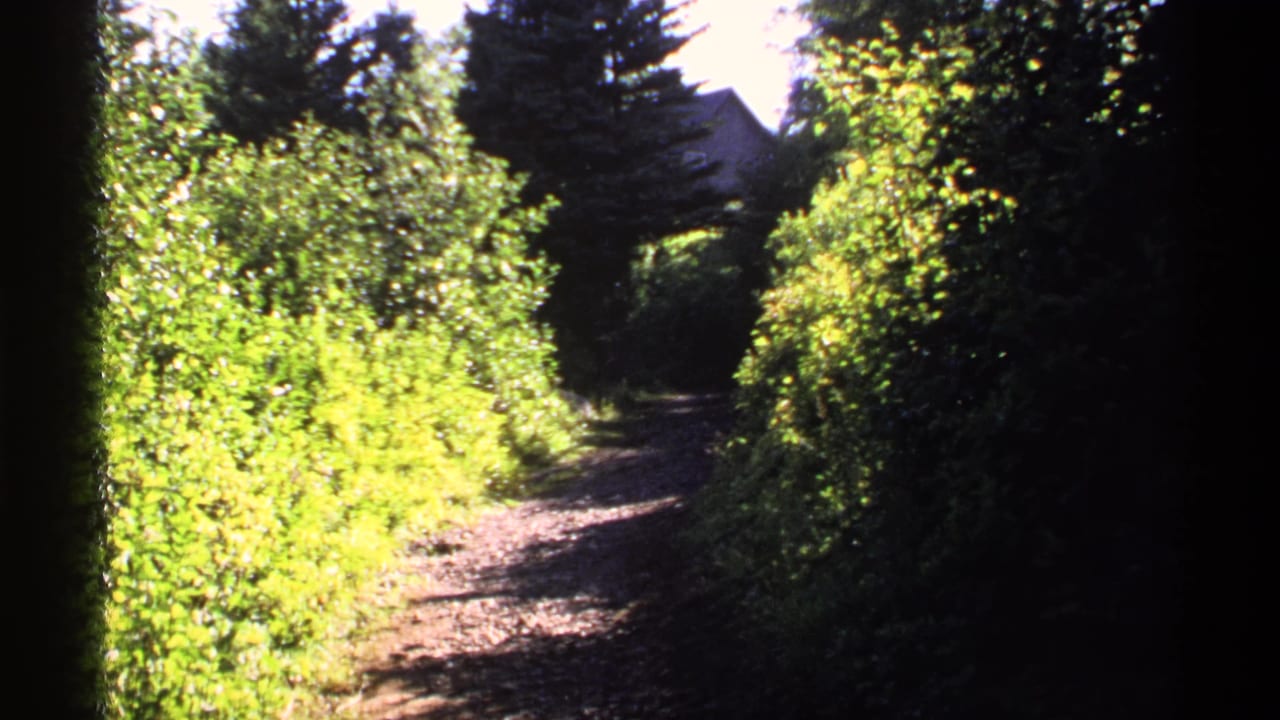 Sunlit dirt path through dense green foliage with tall trees and a partly hidden roofline ahead.