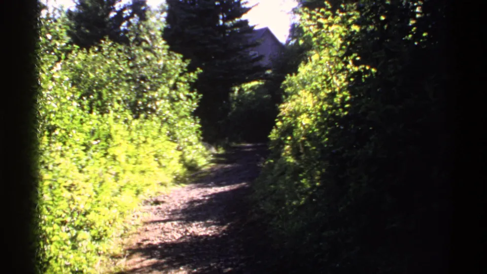 Vintage 8mm view on Isle Royale of a narrow path through dense lakeside vegetation, with strong sunlight on shrubs and shade under tall trees.