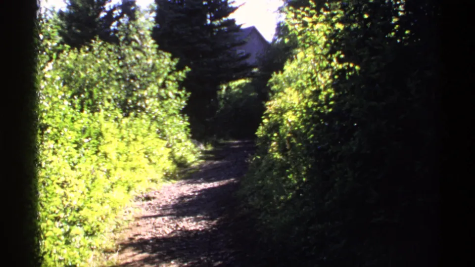 1971 home-movie frame of an Isle Royale footpath with overexposed sunlit foliage on one side and dense evergreen shade on the other.