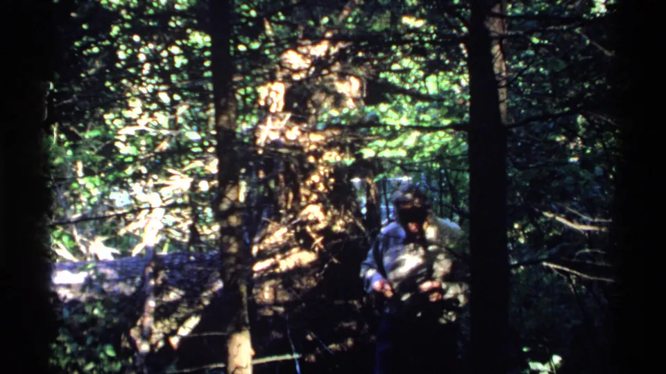 A man walks through a shaded Isle Royale forest, partly obscured by trees and bright patches of sunlight.
