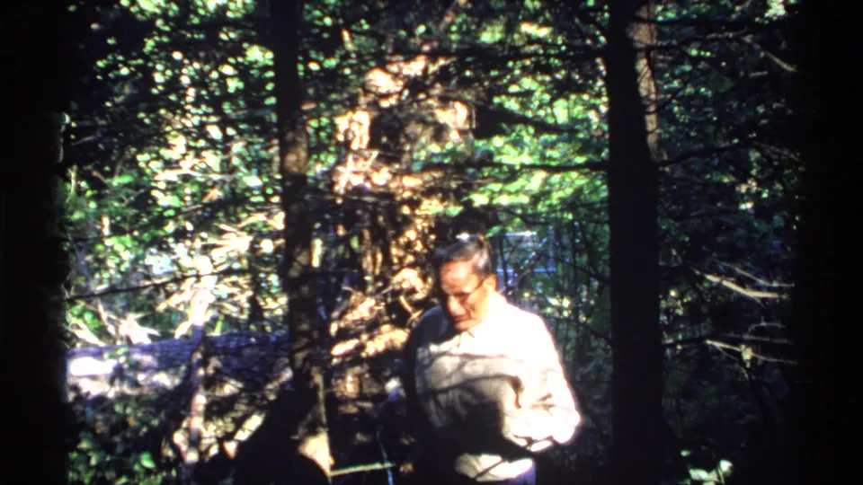 The older man passes close to the camera in an Isle Royale forest, with trees and green foliage around him.