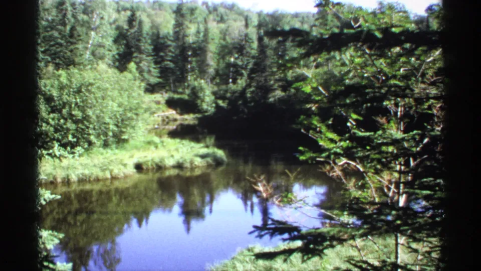 Still water on Isle Royale reflects surrounding evergreens and shrubs, framed by dark branches in 1971 8mm footage.