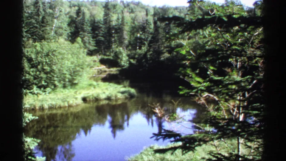 A final 1971 Isle Royale frame shows the still water and mirrored trees, partly framed by dark conifer branches and film-edge shadow.