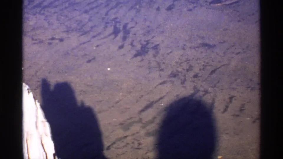1971 Isle Royale home-movie frame showing dark human shadows on rough ground near a pale rock or tree edge.