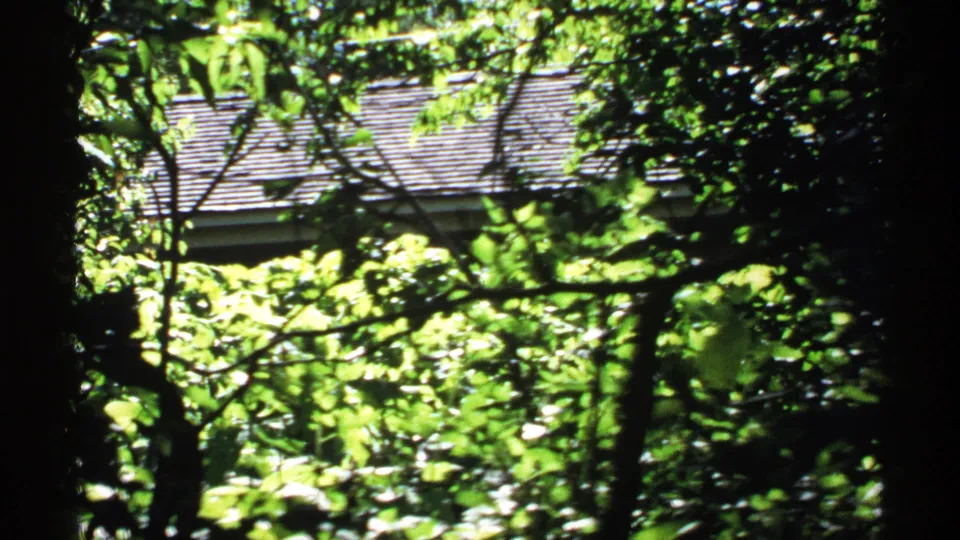 1971 Isle Royale view of a house roof partly obscured by dense green foliage and foreground tree trunks.