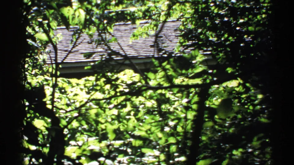 A wooded Isle Royale view in 1971, with a roofline partly hidden behind summer leaves and branches.