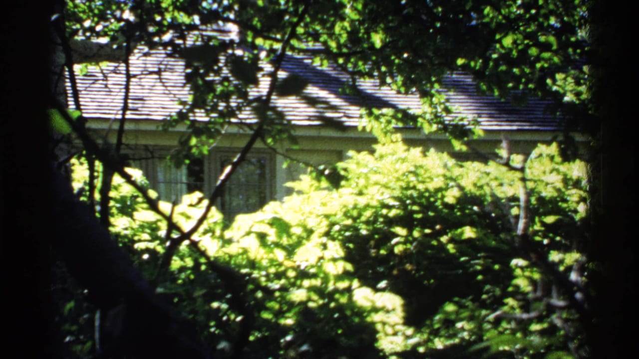 1971 Isle Royale home-movie frame showing a house exterior partly obscured by dense trees, shrubs, and dappled sunlight.