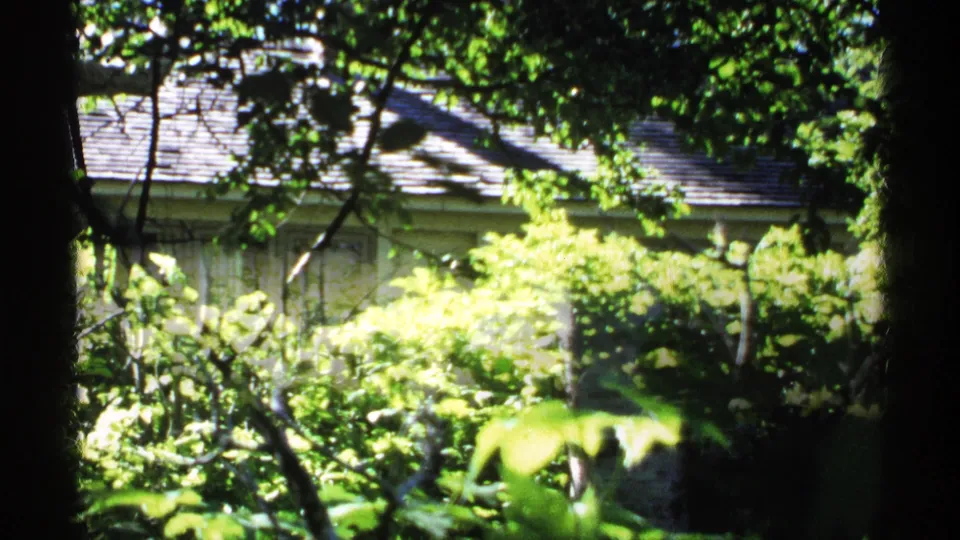 1971 Isle Royale view of a low house partially screened by dark tree trunks, leafy branches, and sunlit bushes.