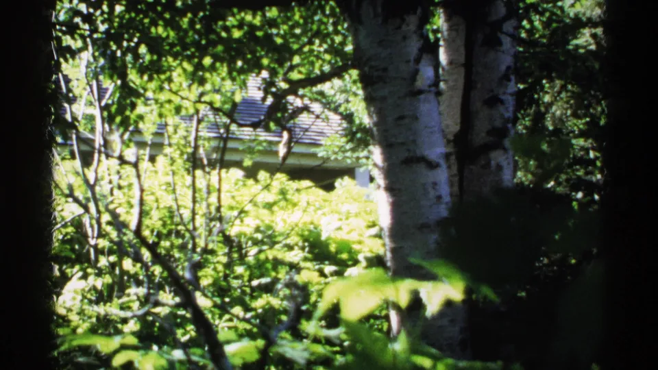 1971 Isle Royale frame with birch trunks, branches, and shrubs obscuring a house set back in the woods.