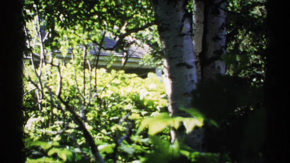 1971 Isle Royale home-movie frame showing a house partly concealed by birch trunks, branches, and sunlit woodland plants.
