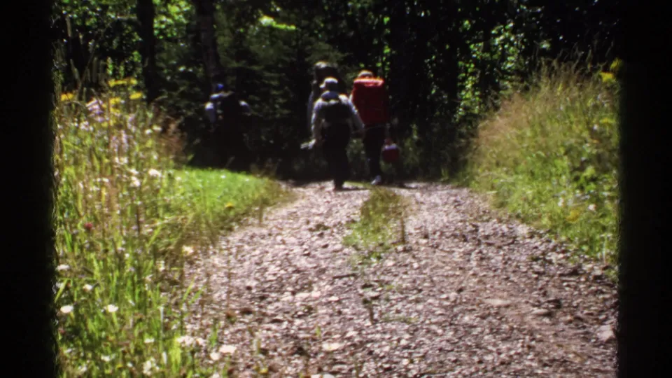 Hikers on Isle Royale continue away from the camera through a wooded trail scene, with bright grass along the path edge.