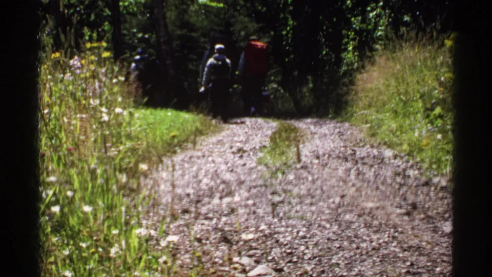 The backpacking group appears farther down the Isle Royale forest path, partially shaded by trees and trail-side vegetation.