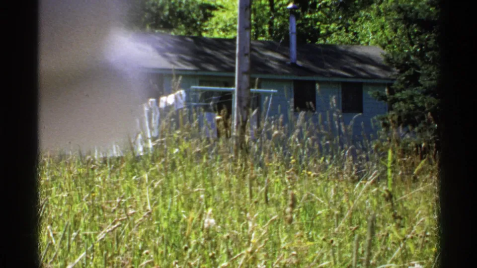 A small structure near the wooded Isle Royale trail appears through tall grass, with trees and sunlight around it.
