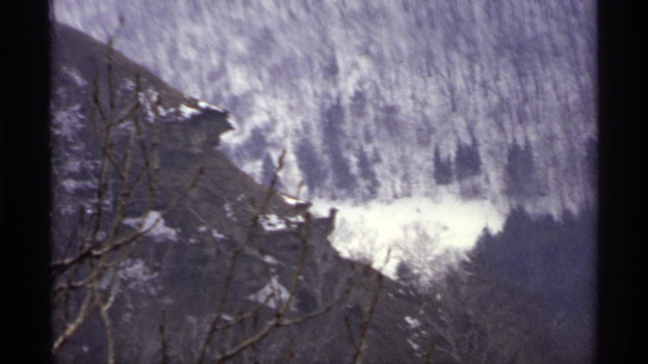 Snow-dusted bluff or hillside seen through bare branches on 8mm film.