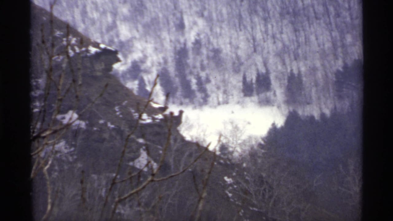 Snowy hillside and bare branches framed by dark film edges.