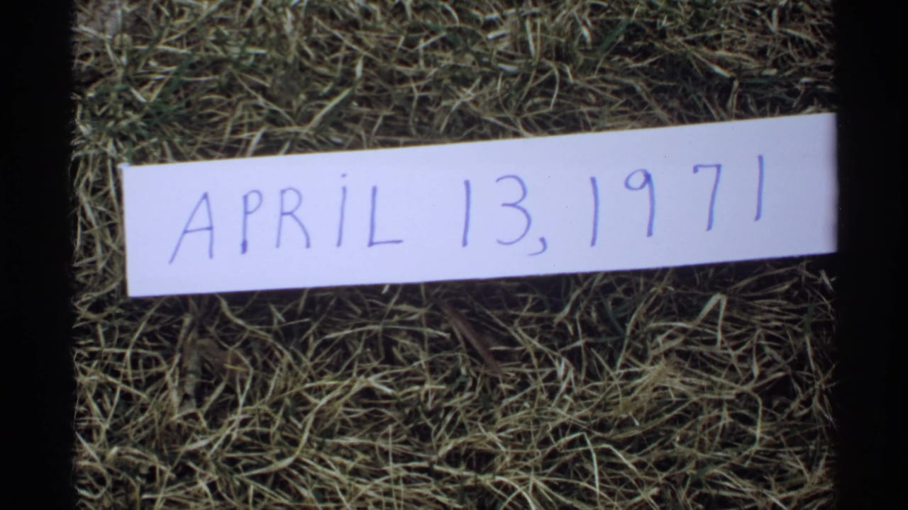 Handwritten date card reading April 13, 1971 lying on grass.