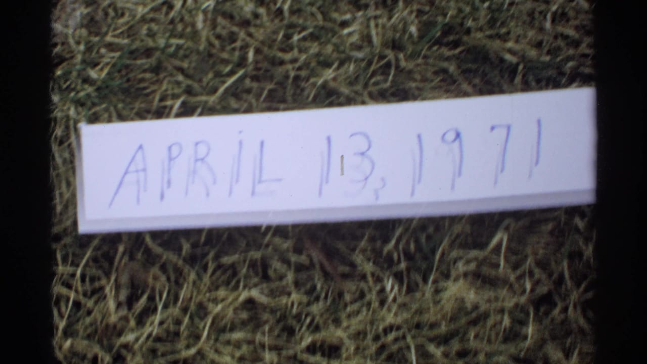 Handwritten April 13, 1971 date card on grass in a soft 8mm frame.
