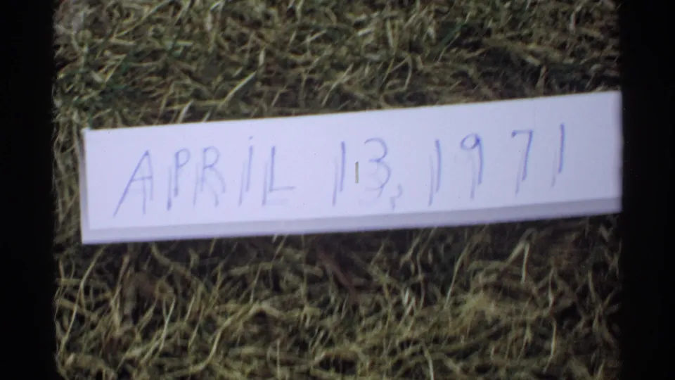 A second close frame shows the April 13, 1971 date card on grass, with soft focus and 8mm film texture.