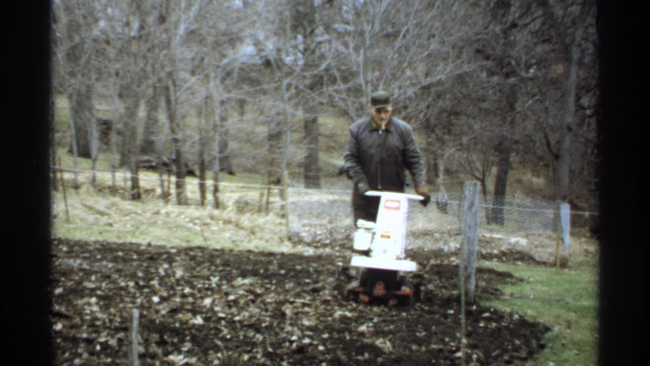 Man in a cap operates a white motorized tiller in a leaf-strewn garden plot.