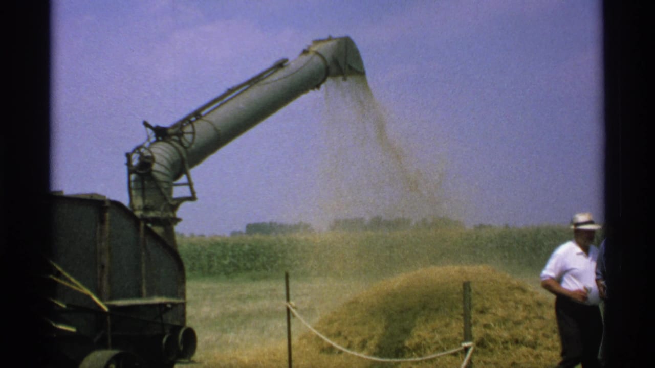Machine chute throws hay onto a pile with a man in a white shirt standing at the edge of frame.