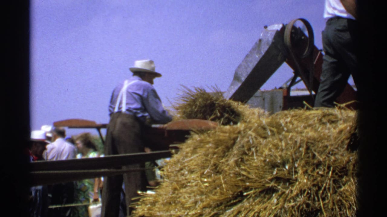 Workers handle loose hay around a mechanical baler and truck in an open field.