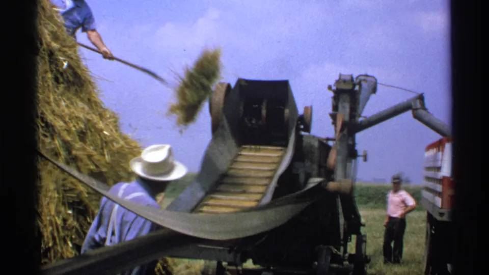 Loose hay is thrown toward a mechanical baler as workers stand nearby in a rural Minnesota field.
