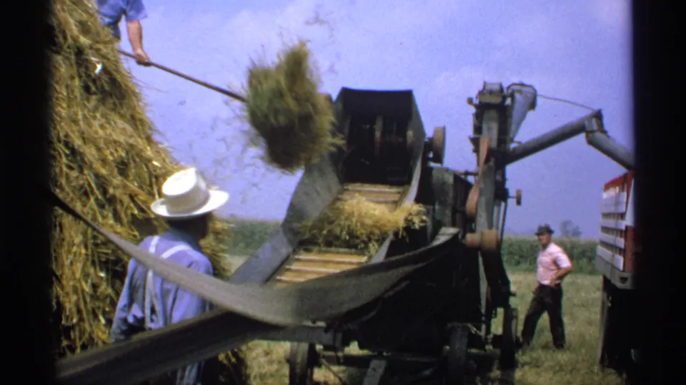 A bundle of hay drops toward the baler intake while Minnesota farm workers stand by the machine and truck.