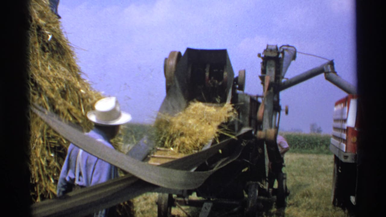 Farmer in a white hat pitches hay toward a moving conveyor on a farm machine.