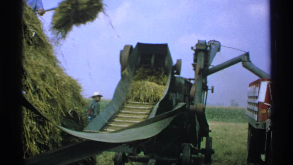 The baler conveyor carries hay upward as a worker in a hat is partly visible beside the large hay pile in the Minnesota farm field.