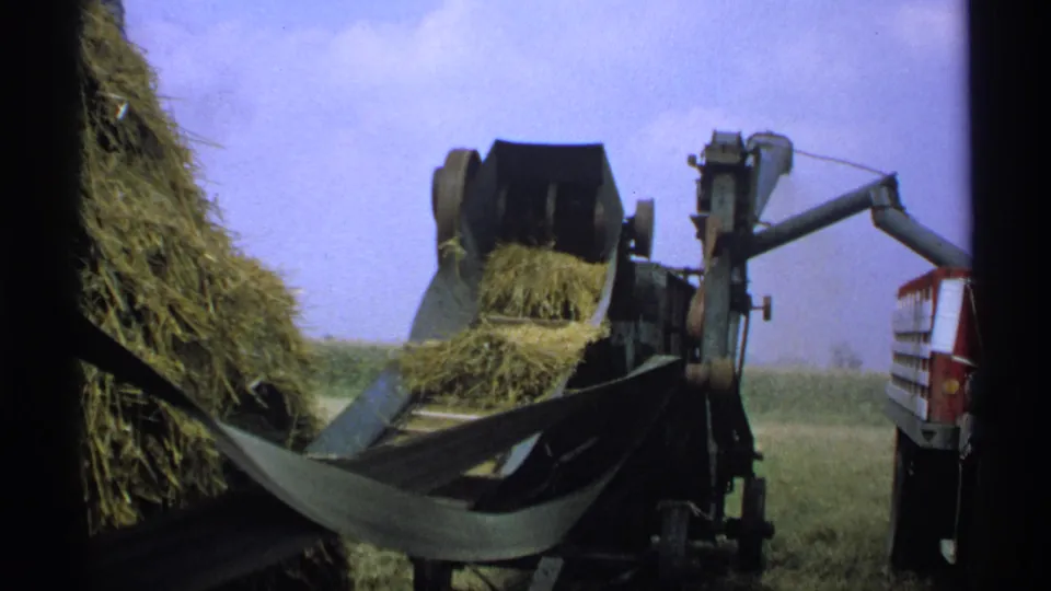 A 1971 Minnesota farm scene shows hay gathered on the conveyor of a baler, with a red truck parked alongside in the field.